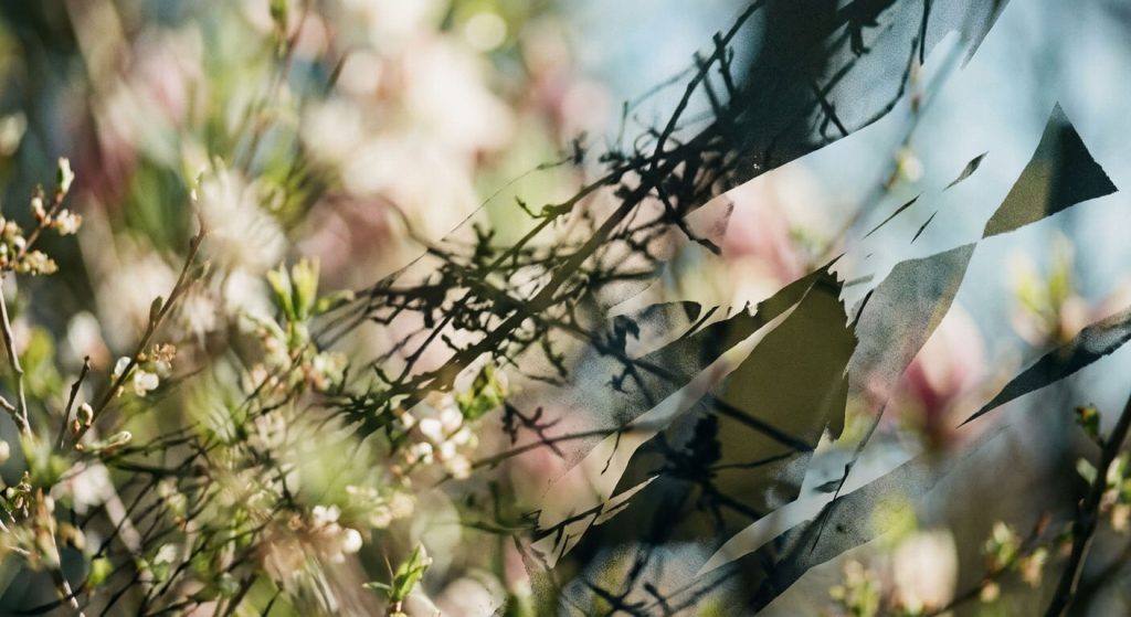 Ine Zantingh, poëzielezing: Een nieuwe lente, een nieuw geluid.